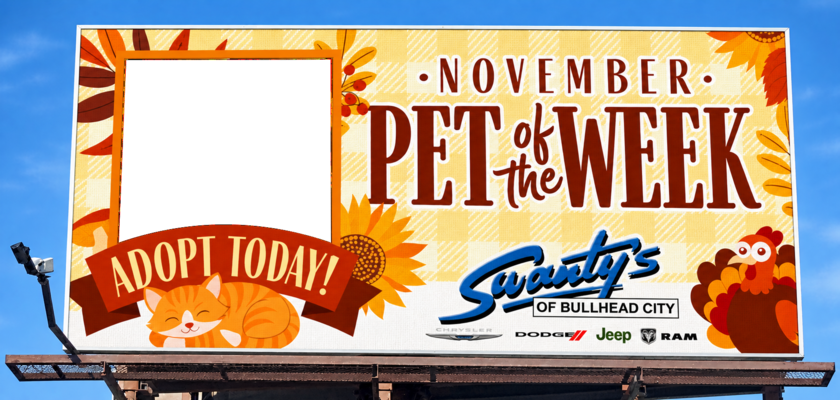 Pet of the Week billboard featuring Jillian