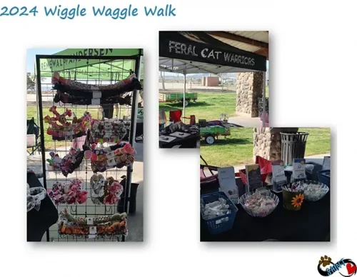 2024-wiggle-waggle-walk-101