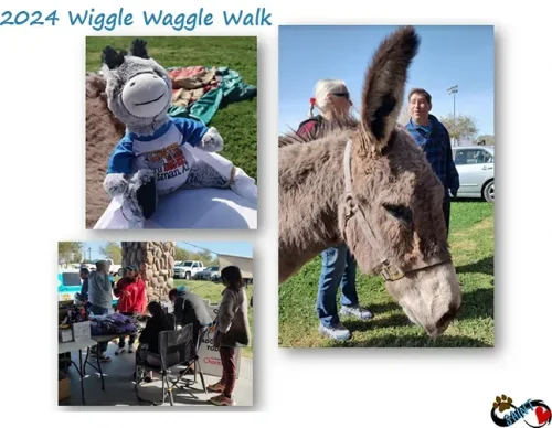 2024-wiggle-waggle-walk-202