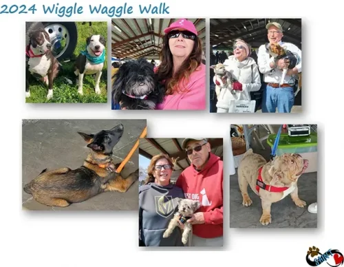 2024-wiggle-waggle-walk-707