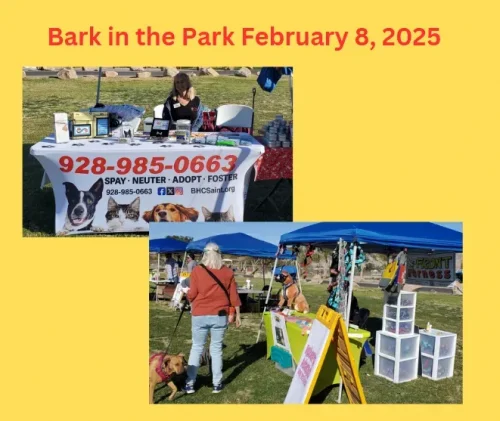bark-in-the-park-1 copy10