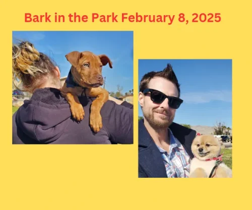 bark-in-the-park-313
