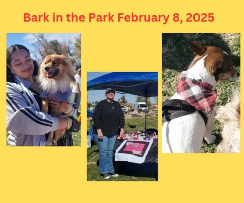 bark-in-the-park-414