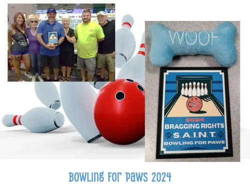 bowling-for-paws-116