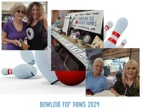 bowling-for-paws-217