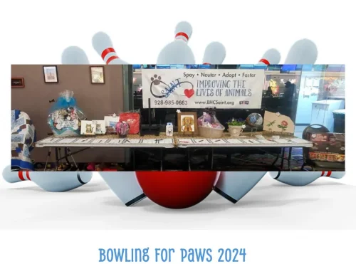 bowling-for-paws-419