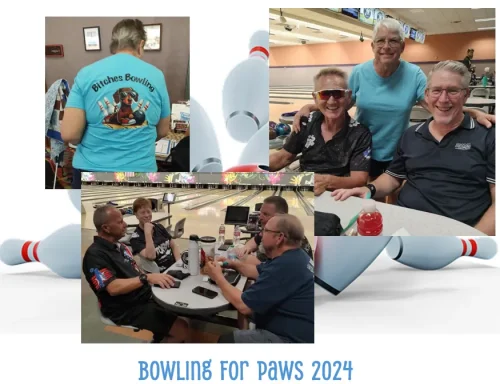 bowling-for-paws-621