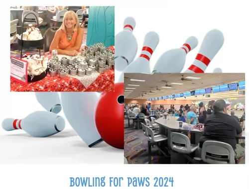 bowling-for-paws-722