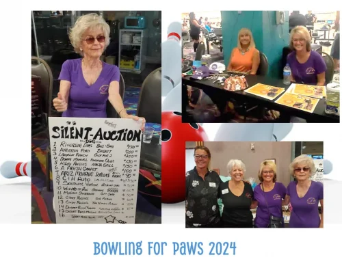 bowling-for-paws-823