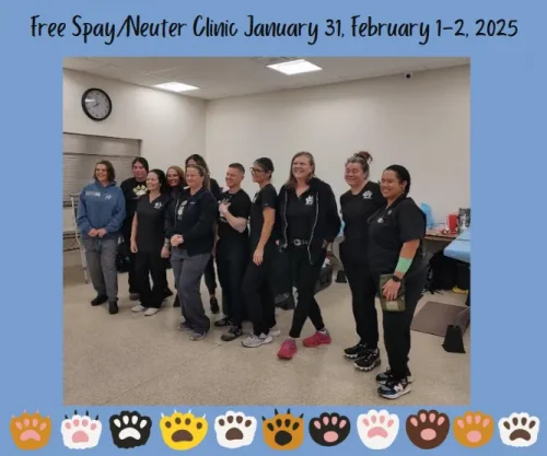 free-spay-neuter-clinic-124