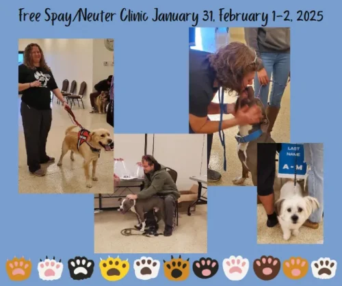free-spay-neuter-clinic-326