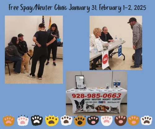 free-spay-neuter-clinic-528