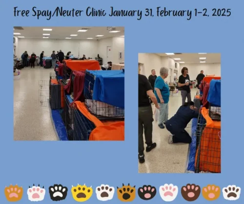 free-spay-neuter-clinic-629