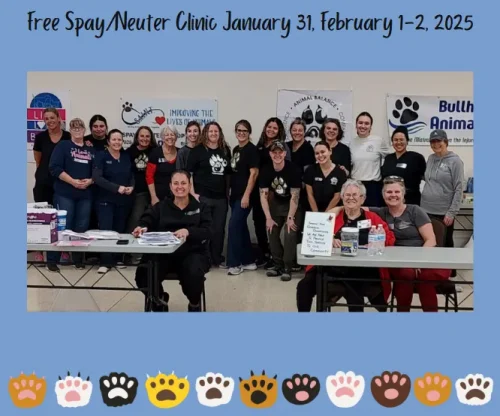 free-spay-neuter-clinic-730